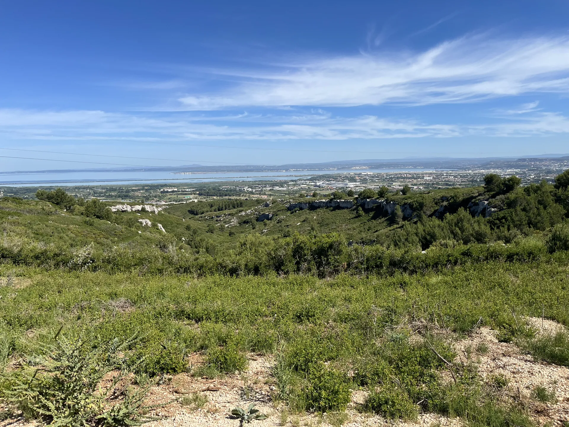 Haut de niolon, chèvres sauvages — photo 3